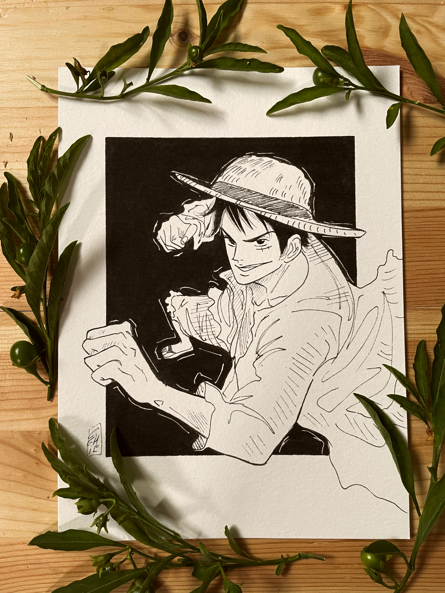 Luffy - One piece - Original