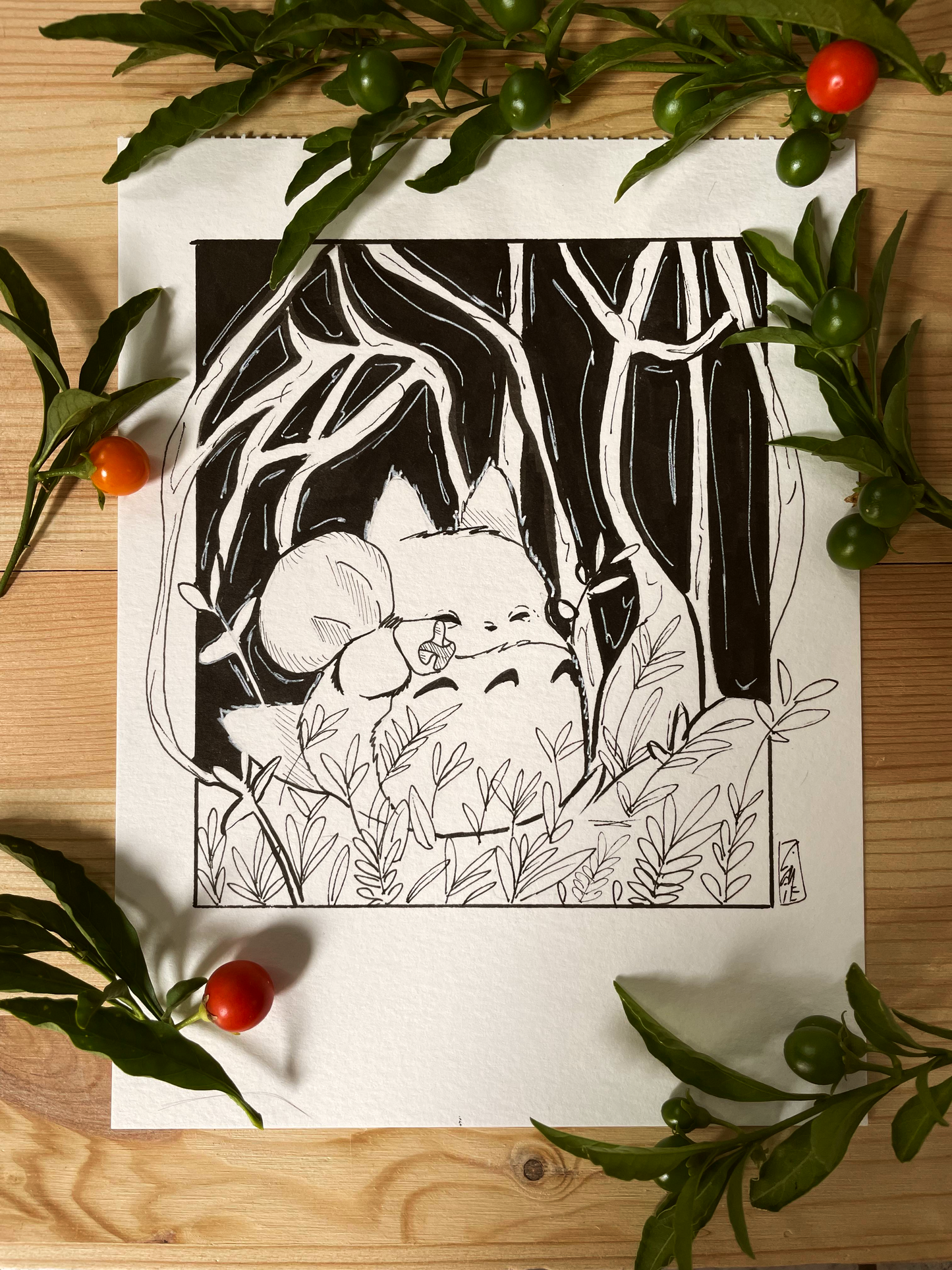 Balade en forêt - Mon voisin totoro